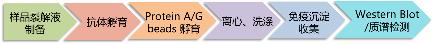 Co-IP.png Co-IP.png
