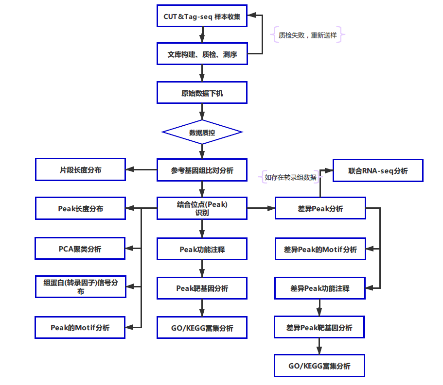 CUT_Tag-生信流程3.png CUT_Tag-生信流程3.png